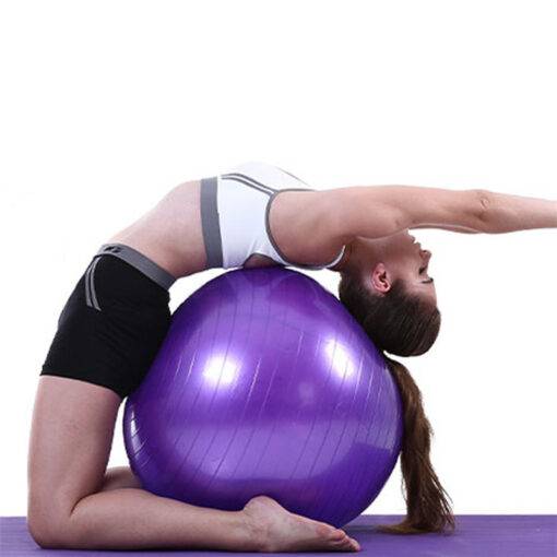 Fitness Balance Exercise Rubber Ball HEALTH & FITNESS cb5feb1b7314637725a2e7: Blue|Pink|Purple|Red|Silver