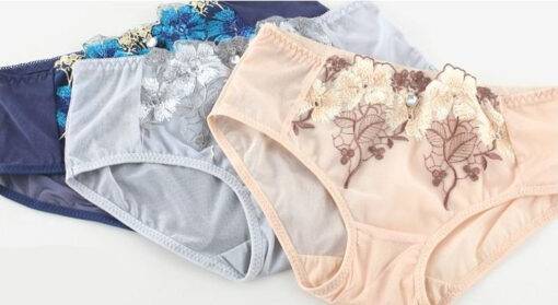 Cute Push-Up Floral Embroidered Lace Women’s Underwear Set Bras & Lingerie FASHION & STYLE cb5feb1b7314637725a2e7: Beige|Black|Blue|Grey|Pink|Red
