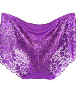 Comfortable Seamless Transparent Lace Women’s Panties Bras & Lingerie FASHION & STYLE cb5feb1b7314637725a2e7: Beige|Black|Purple|Red 