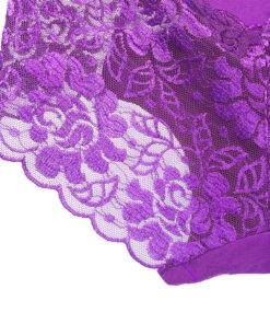 Comfortable Seamless Transparent Lace Women’s Panties Bras & Lingerie FASHION & STYLE cb5feb1b7314637725a2e7: Beige|Black|Purple|Red 