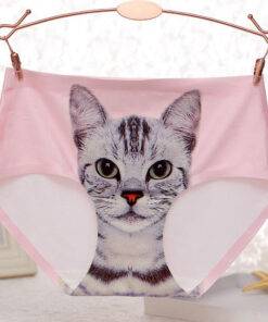 Lovely Kitten Printed Breathable Cotton Women’s Panties Bras & Lingerie FASHION & STYLE cb5feb1b7314637725a2e7: Beige|Pink|Sky Blue|White 