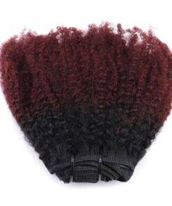 Burgundy Ombre Kinky Curly Clip-In Remy Human Hair Extensions Set BEAUTY & SKIN CARE Hair Extension & Wigs cb5feb1b7314637725a2e7: Burgundy / Black 