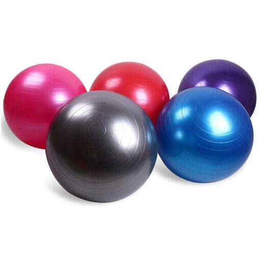 Fitness Balance Exercise Rubber Ball HEALTH & FITNESS cb5feb1b7314637725a2e7: Blue|Pink|Purple|Red|Silver