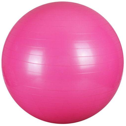 Fitness Balance Exercise Rubber Ball HEALTH & FITNESS cb5feb1b7314637725a2e7: Blue|Pink|Purple|Red|Silver