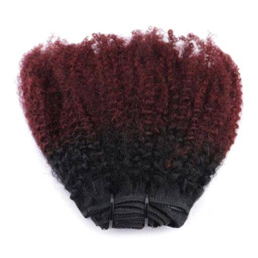 Burgundy Ombre Kinky Curly Clip-In Remy Human Hair Extensions Set BEAUTY & SKIN CARE Hair Extension & Wigs cb5feb1b7314637725a2e7: Burgundy / Black