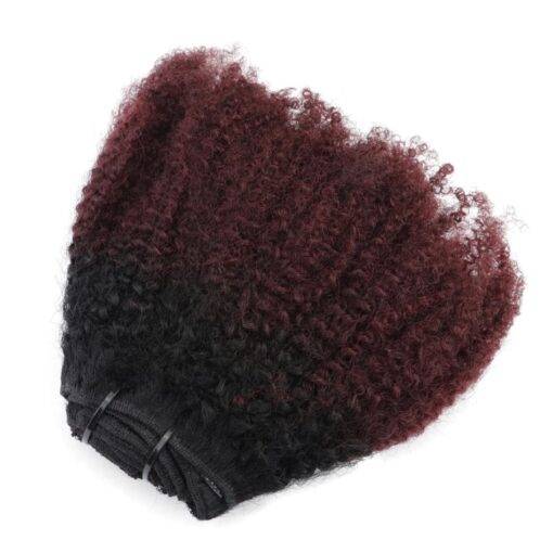 Burgundy Ombre Kinky Curly Clip-In Remy Human Hair Extensions Set BEAUTY & SKIN CARE Hair Extension & Wigs cb5feb1b7314637725a2e7: Burgundy / Black